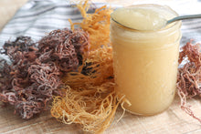 Load image into Gallery viewer, Build Your Sea Moss Gel
